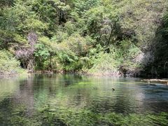 -叠溪松坪沟景区