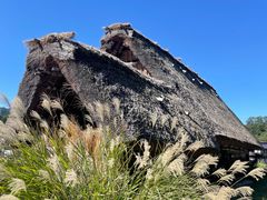 -白川乡与五箇山的合掌构造村落