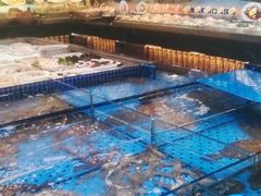 -大连湾旭日·家宴·海肠捞饭(马栏广场店)