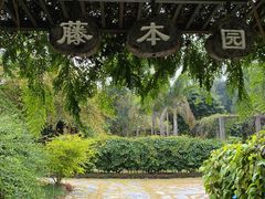 -中国科学院西双版纳热带植物园