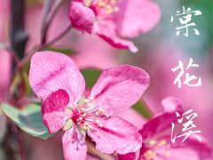 -海棠花溪(元大都城垣遗址公园)