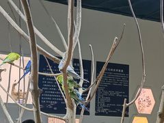 -上海大自然野生昆虫馆(东方明珠·爬宠昆虫探索中心)