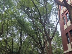 -华东政法大学(松江校区)