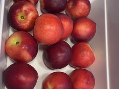 -蒙都43°9羊火锅·赤峰美食(宁城店)