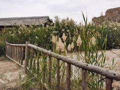 -水洞沟旅游区