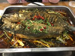烤鱼-沈胖子音乐烤吧·炒菜·龙虾(环城东路店)