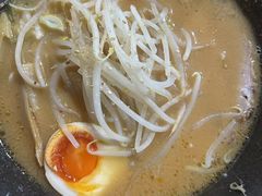 -日本料理神拉面