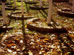 -西安汉城湖景区