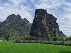 -明仕田园