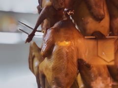 -大鸽饭(岗顶店)