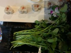 -淼福猪肚鸡·椰子鸡火锅(大沙地店)