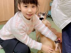 -藦茜花园宠物主题亲子互动体验馆(国顺东路店)