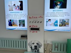 -北京观赏动物医院·24小时大型综合·猫专科·异宠专科