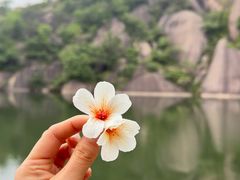 -嵖岈山风景区