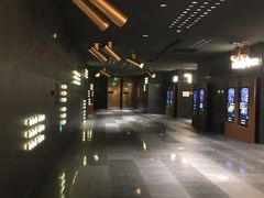 -金逸影城(宝安大仟里IMAX激光店)