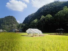 -高荡千年布依古寨旅游景区