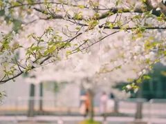 -同济大学(嘉定校区)