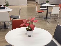 -深圳锦龙奥迪4S店(前海店)