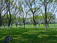 -重庆中央公园(渝北区)