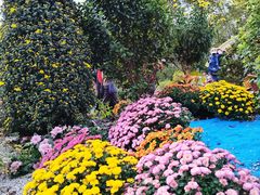 -共青国家森林公园-售票处