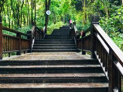 -天鹿湖森林公园