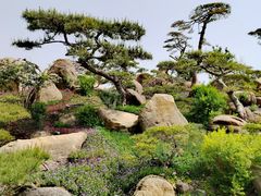 -罗红摄影艺术馆