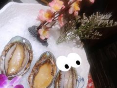 活鲍鱼-小椒娘撒椒鱼火锅(三八广场店)