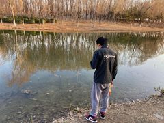 -大兴滨河森林公园