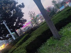 -莱西月湖公园