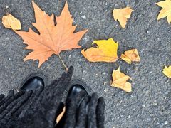 -新丰小吃(凤起路分店)