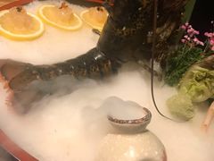 -石葵(锦业时代店)