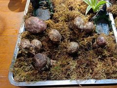 -福照楼汽锅鸡·云南菜(护国路店)