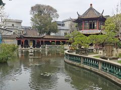 -碧江金楼