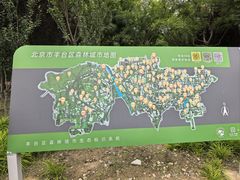 -绿堤公园