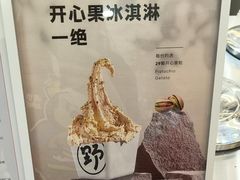 -野人先生Gelato(上海长宁龙之梦店)