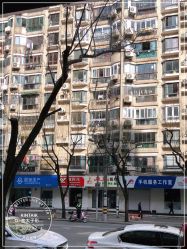 -金太子形象设计