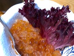 三文鱼子酱-禾风·海鲜料理自助(玉林店)