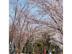 -扬州市茱萸湾风景区
