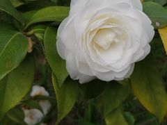 -章氏(车站北路店)