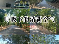 -中山市树木园