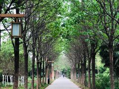 -洛阳市隋唐城遗址植物园