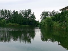 -溱湖国家湿地公园