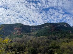 -鲁山国家森林公园