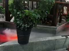 -燕郊烧鸽子(广安路店)