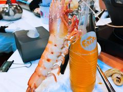 -鲜入围煮花胶鸡海鲜火锅