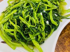 -金记猪肚鸡(琅西店)