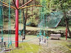 -原山国家森林公园