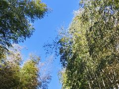 -黄公望隐居地