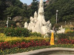 -金鸡山公园