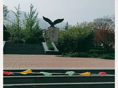 -北京鹫峰国家森林公园